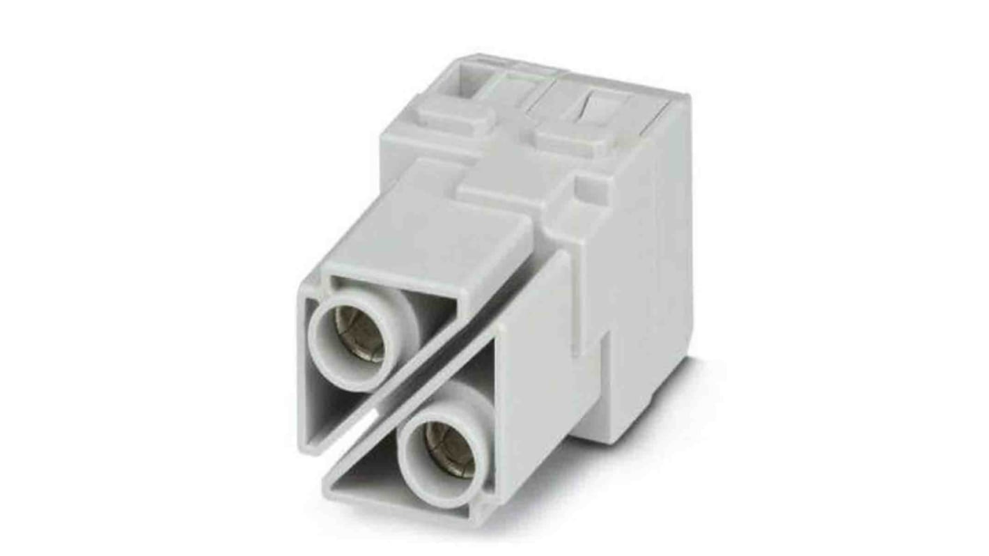 Inserto contatti Phoenix Contact 1417390 femmina serie HC 100A 2 vie per applicazioni di potenza, tensione 1000 V -40 °C a 125 °C.