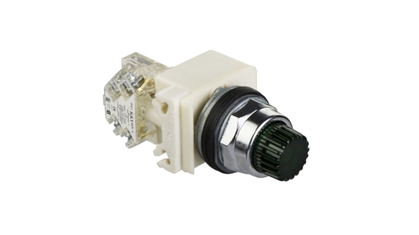 Pulsante SPDT illuminato verde Schneider Electric, montaggio a pannello, diametro foratura 30 mm, protezione IP66, tensione 24 V o 120 V AC/DC.
