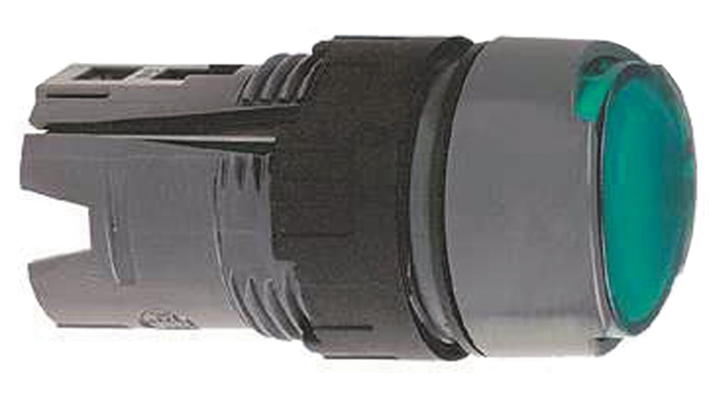 Coperchio testa pulsante rotondo verde illuminato Schneider Electric, tipo mantenuto, per forature da 16 mm, grado di protezione IP65.