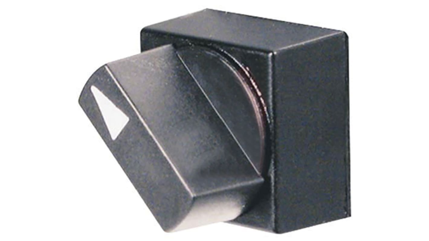 Selettore a 2 posizioni Omron A165ST2M2, diametro foro 16 mm, DPDT, non illuminato, tenuta IP65, resistente all'olio.