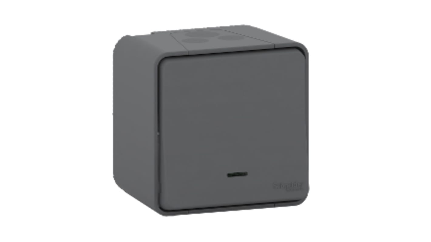 Interruttore luce Schneider Electric MUR35024, grigio, montaggio superficiale, IP55, dimensioni 76x64 mm.