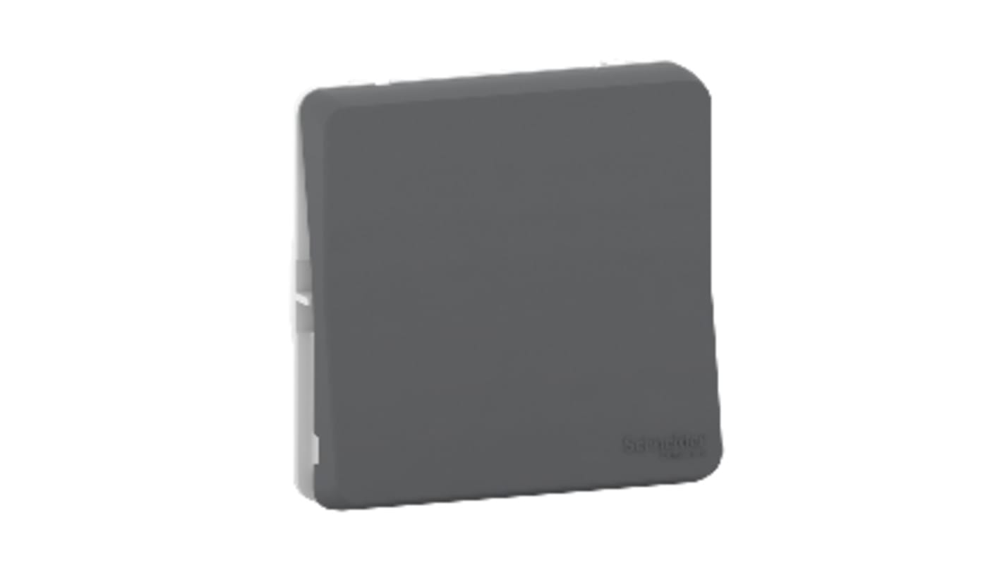 Interruttore luce Schneider Electric MUR37021, grigio, montaggio superficiale, IP55, forature pannello 71x40 mm.
