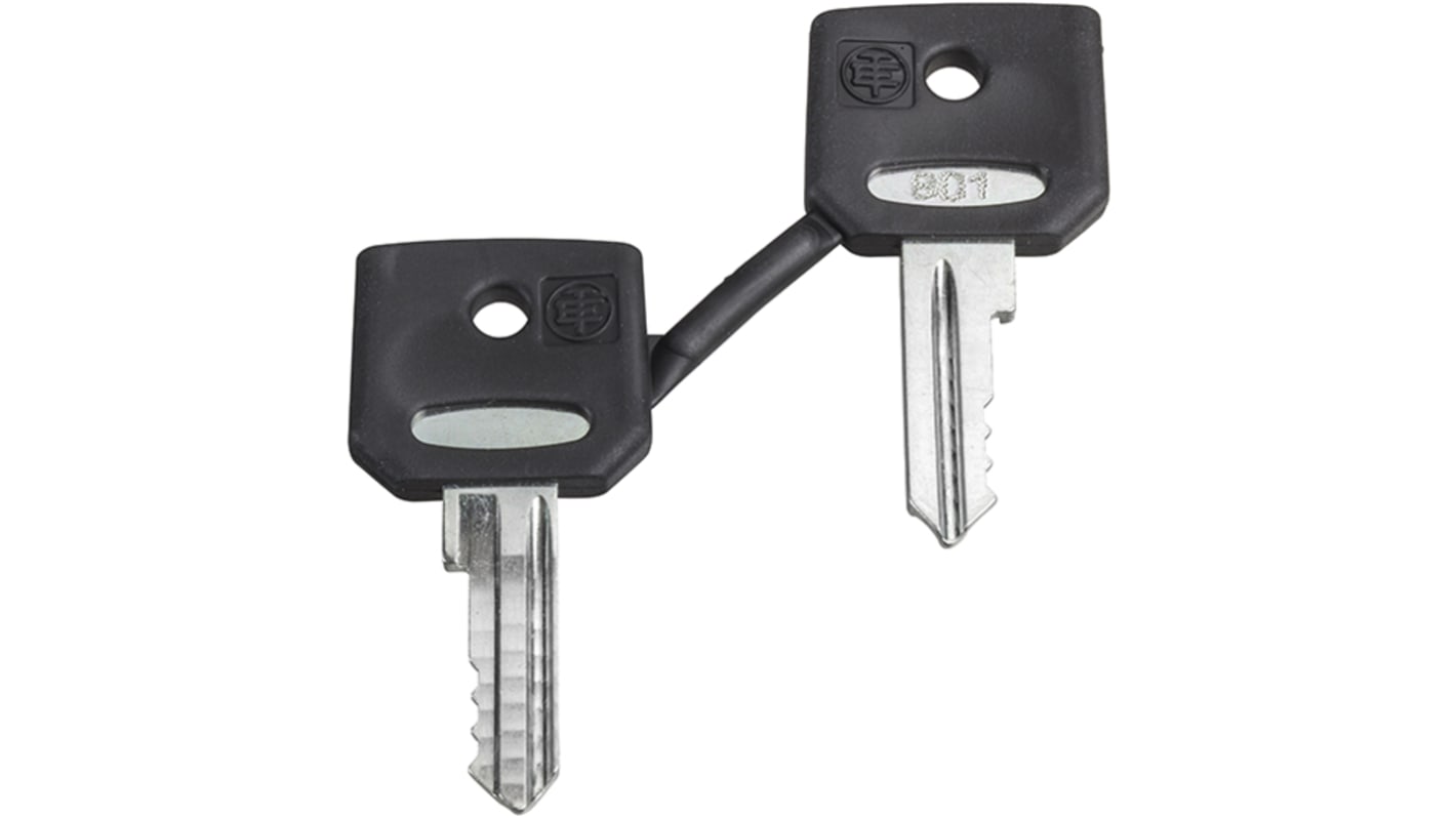 Chiave per interruttore a chiave Schneider Electric ZBDA185, set di 2 chiavi, compatibile con interruttori di selezione.