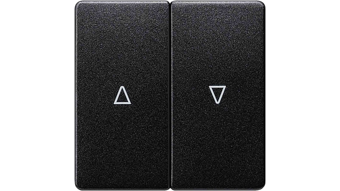 Interruttore a bilanciere Siemens 5TG6234 grigio, forma rettangolare, IP20, dimensioni forature 55mm x 55mm, materiale termoplastico.