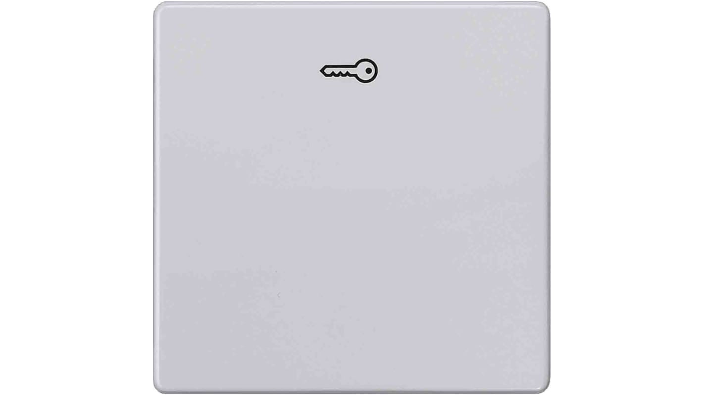 Interruttore a bilanciere Siemens 5TG6248, grigio, rettangolare, IP20, dimensioni 55x55 mm, realizzato in materiale termoplastico e alluminio.