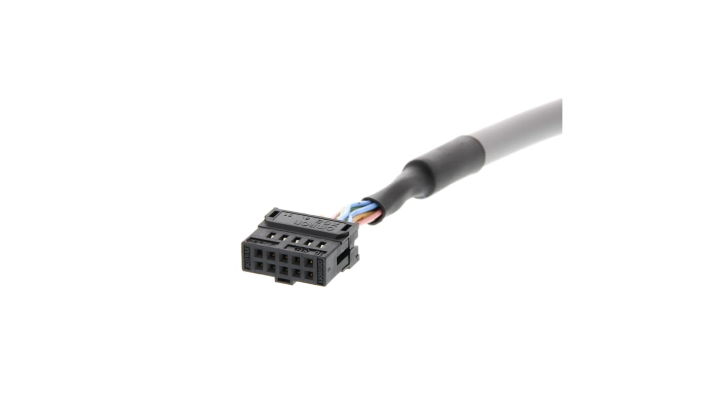 Cavo di connessione Omron P2RV-A100C, 2 metri, compatibile con moduli P2RV-8-o-F e P2RV-8-i-F, conduttori volanti.