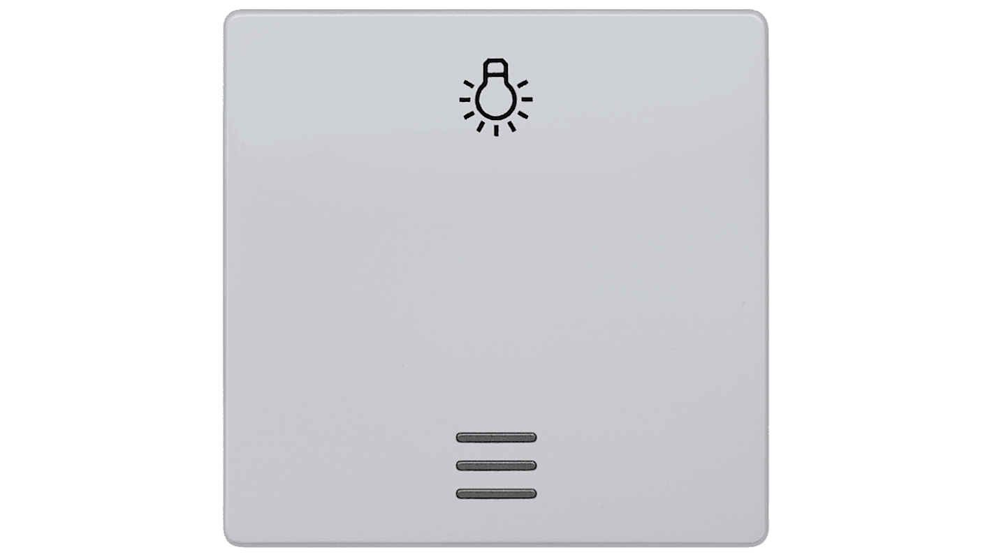 Interruttore a bilanciere Siemens 5TG6246, grigio, forma rettangolare, dimensioni 55mm x 55mm, materiale termoplastico e alluminio.