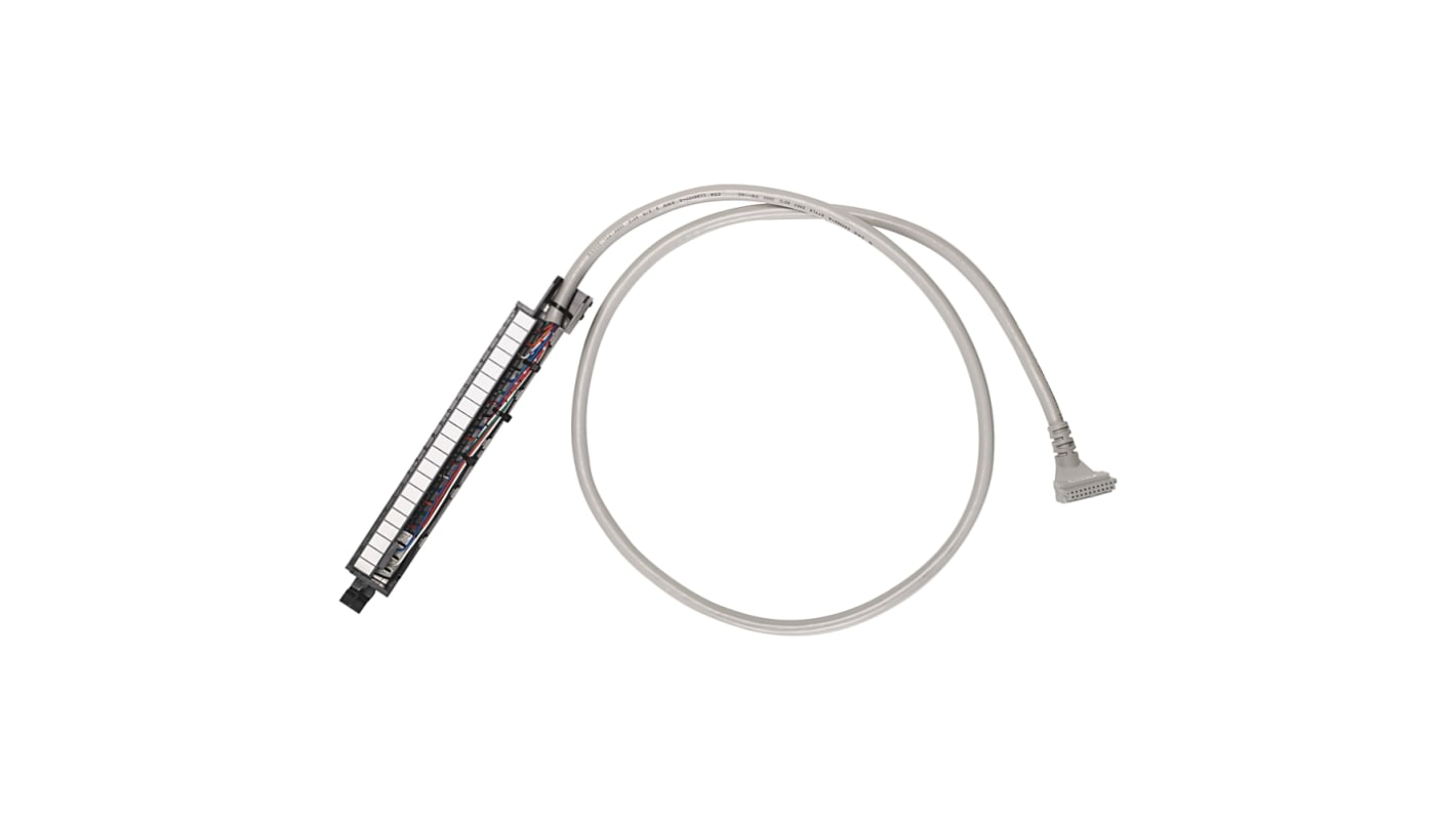 Cavo connettore Rockwell Automation 1492-CABLE010F, lunghezza 1,0 metri, compatibile con SLC 500 e ControlLogix.