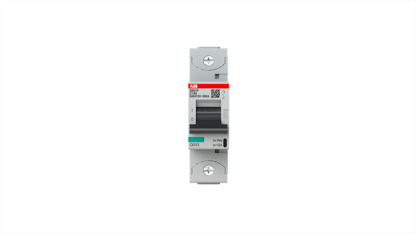 Interruttore magnetotermico ABB Tipo C, 1P 100A, montaggio su guida DIN, larghezza 27 mm, capacità di rottura 50 kA.