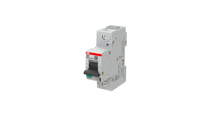Interruttore magnetotermico ABB Tipo C, 1P 100A, montaggio su guida DIN, larghezza 27 mm, capacità di rottura 50 kA.