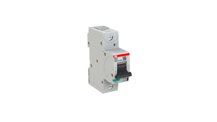 Interruttore magnetotermico ABB Tipo C, 1P 100A, montaggio su guida DIN, larghezza 27 mm, capacità di rottura 50 kA.