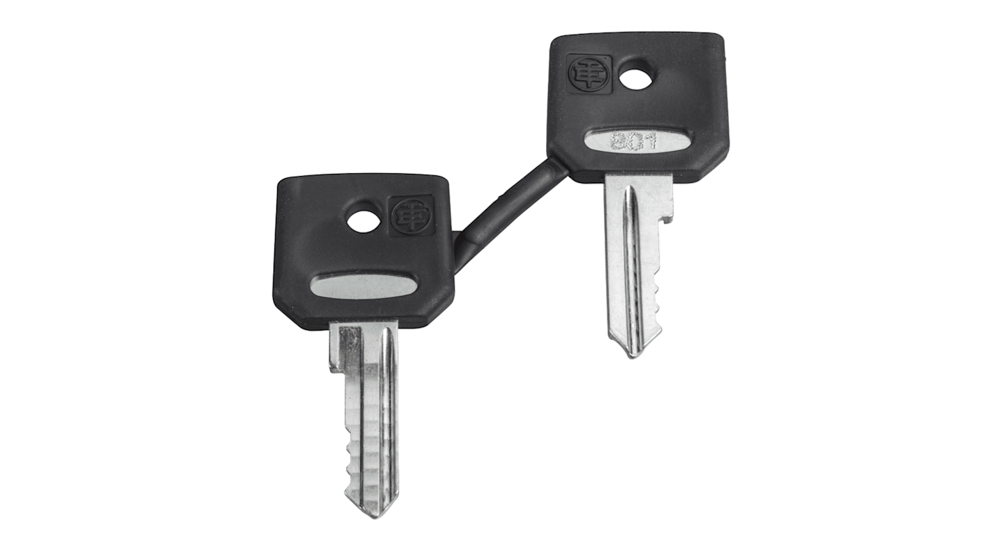 Chiave per interruttore a chiave ZBG520E di Schneider Electric, compatibile con pulsanti di emergenza XB4/XB5. Set di 2 tasti.