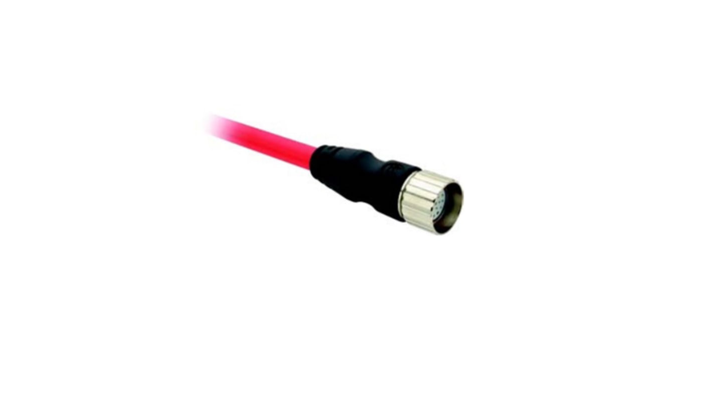 Cavo precablato Allen Bradley Guardmaster 889D-M8NB-5, 5 metri, M12 maschio, 8 pin, guaina PVC rossa, per applicazioni di sicurezza.