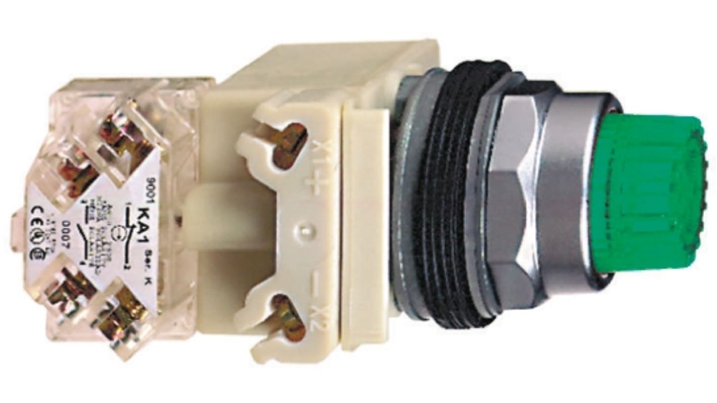 Pulsante SPDT illuminato verde Schneider Electric, montaggio a pannello, diametro foratura 30 mm, protezione IP66, 24 V o 120 V AC/DC.