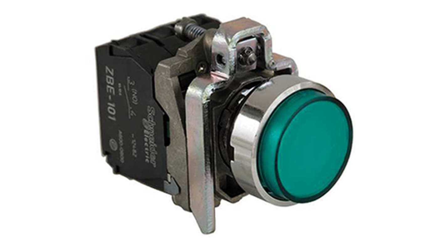 Pulsante luminoso Schneider Electric XB4BW13G5, montaggio a pannello, diametro 22 mm, contatto SPDT, cornice cromata, verde.