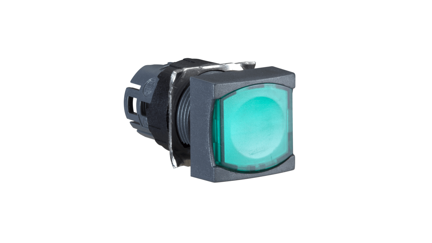 Pulsante illuminato quadrato Schneider Electric ZB6CF3, IP65, verde, montaggio su forature da 16 mm, temperatura operativa -25/+70 °C.