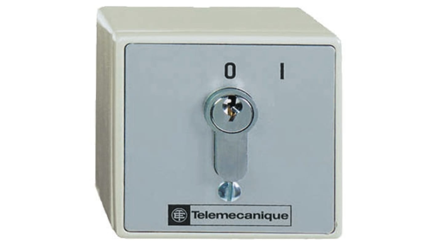 Interruttore Schneider Electric XAPS11111N per avviamento/arresto, corrente 10A, montaggio in superficie, grado di protezione IP54.