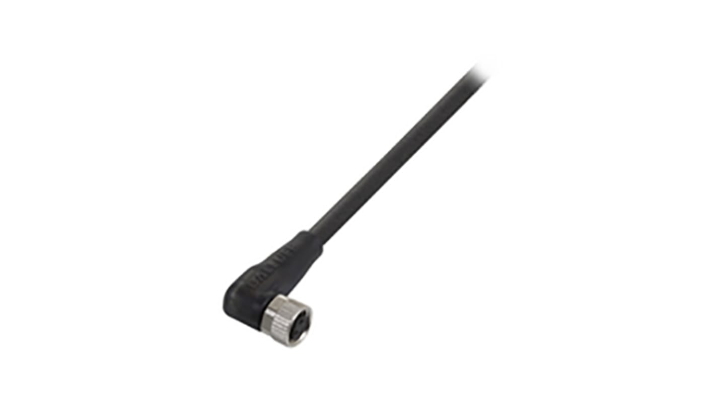 Cavo sensore attuatore M12 femmina BALLUFF, 2m, 4 conduttori, protezione IP68, temperatura -25 a 80 °C.