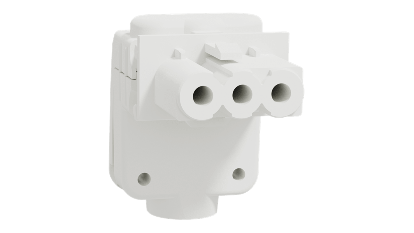 Connettore femmina Schneider Electric INS44306 per illuminazione, 1P + N + E, attacco a vite, 16 A, 250 V, dimensioni 24 mm x 32 mm x 35 mm, colore bianco.