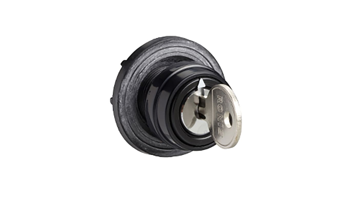 Testa selettore Schneider Electric Harmony K, interruttore a camma rotante, dimensioni 45 x 45 mm, colore metallico, chiave per incisioni.