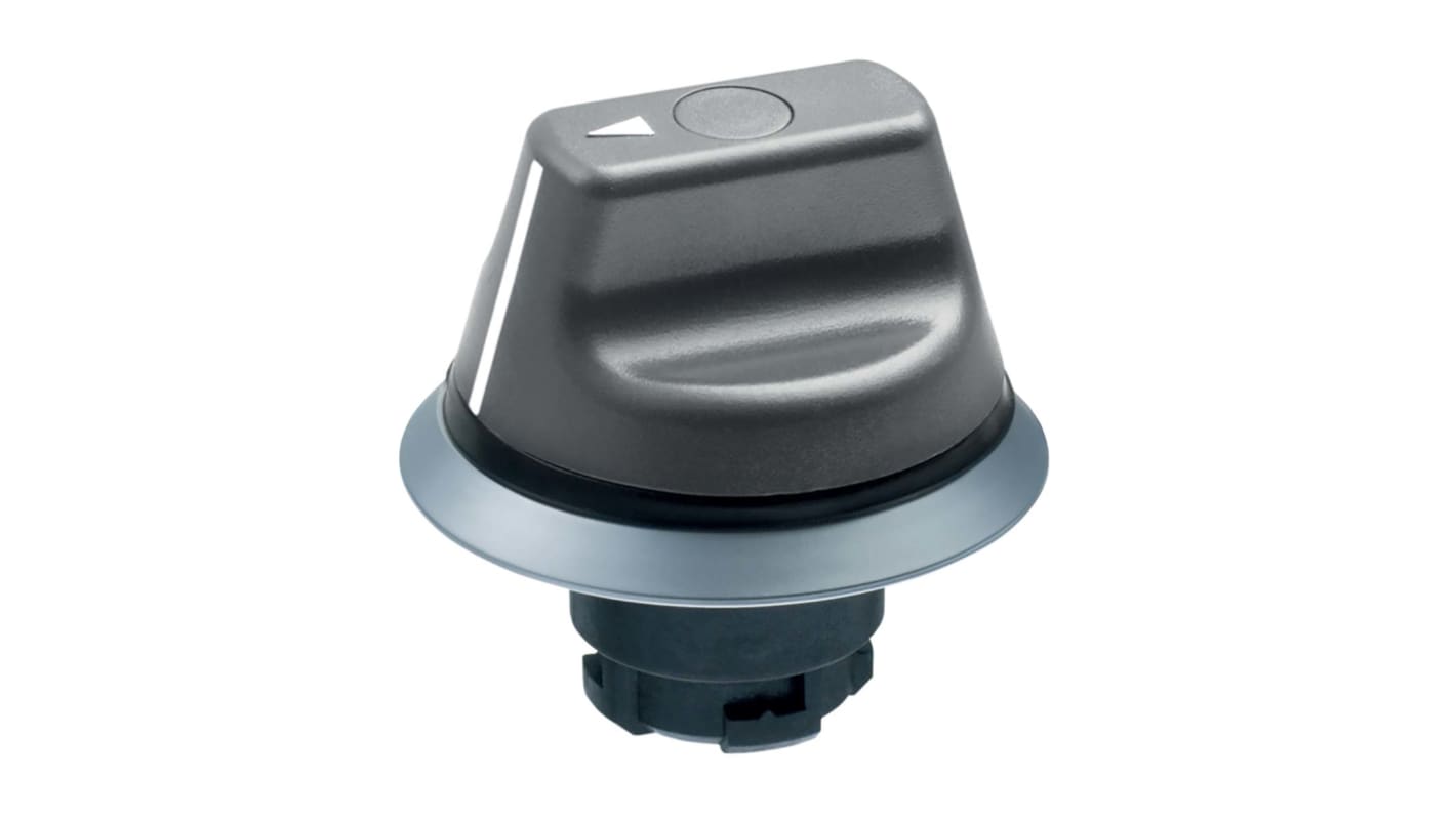 Selettore Schmersal NWS21GR a 2 posizioni con maniglia, materiale ABS, grado di protezione IP67/IP69K, montaggio su flangia EFM.