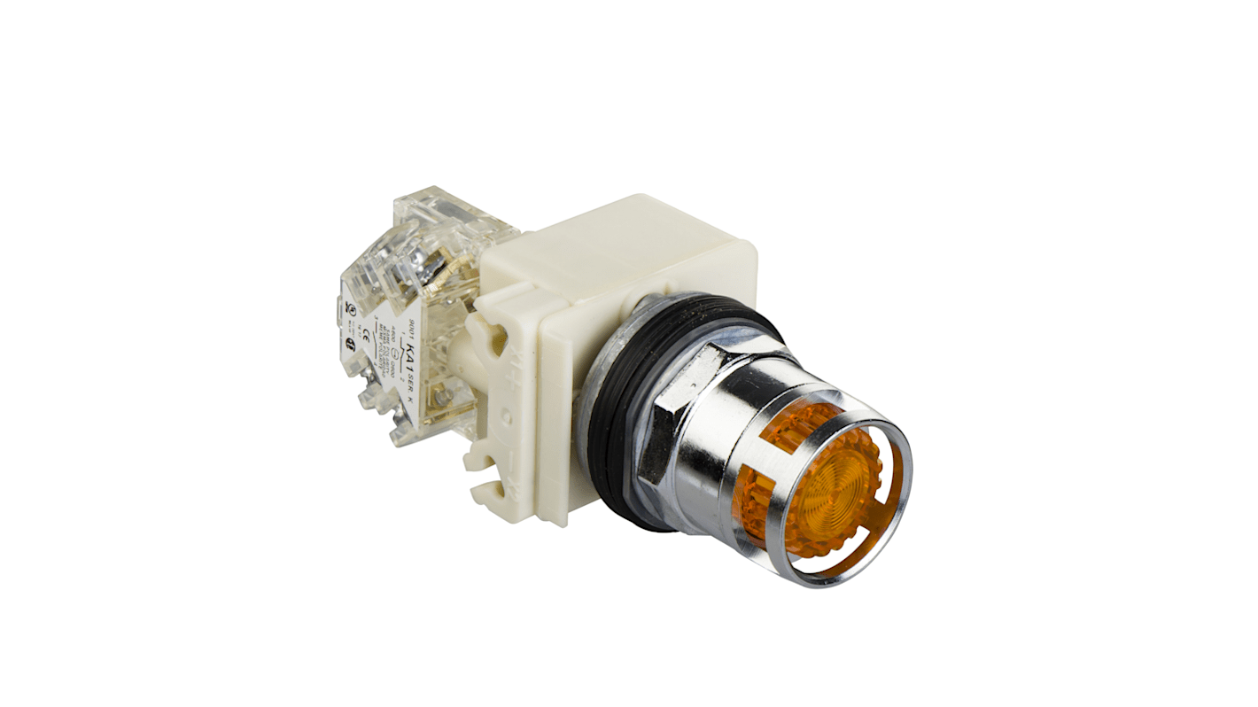 Pulsante luminoso Schneider Electric, montaggio a pannello, diametro 30mm, IP66, 1 NO + 1 NC, colore ambra, 600VAC, 10A.