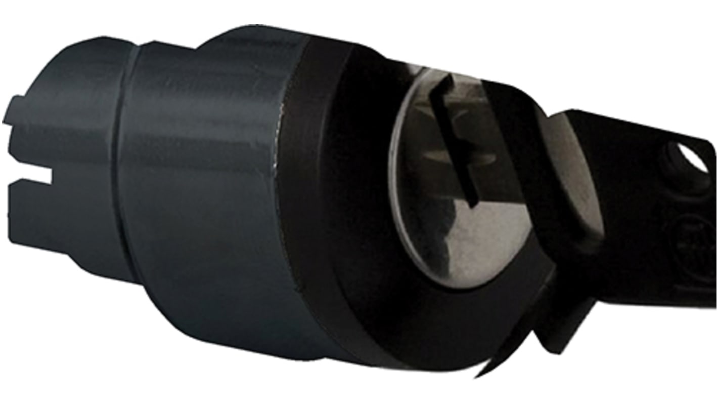 Testa selettore a chiave Schneider Electric ZB4BG27, rotonda, 2 posizioni, cornice in metallo nero, grado di protezione IP66.