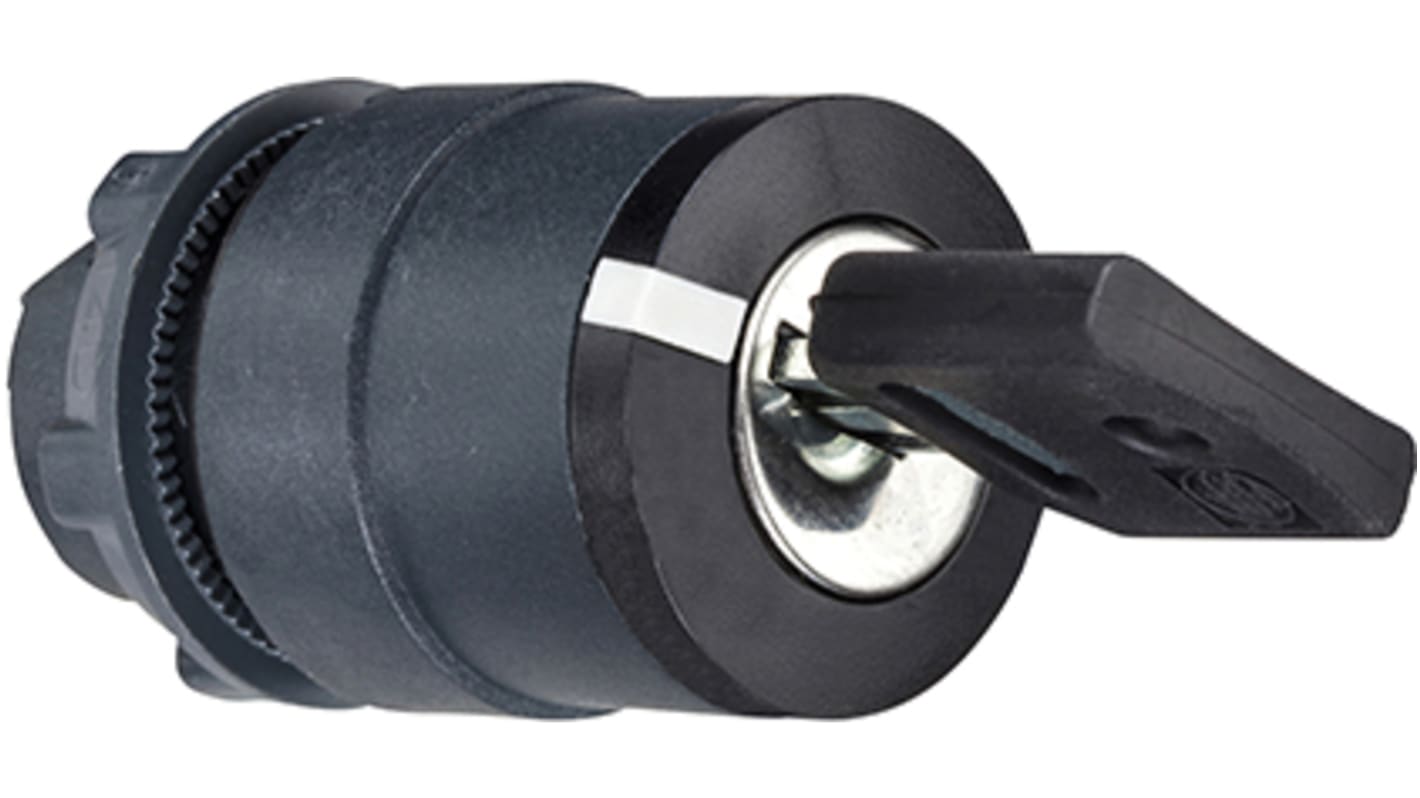 Testa selettore Schneider Electric ZB5AG410, 2 posizioni, Ø22 mm, plastica grigio scuro, protezione IP66, serratura a chiave.