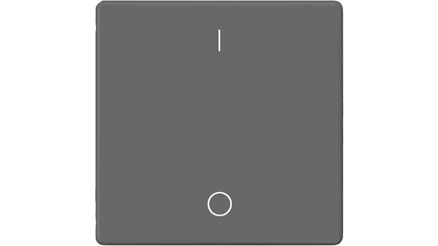 Interruttore a bilanciere Siemens 5TG6222 grigio, forma rettangolare, classe di protezione IP20, dimensioni 55mm x 55mm.