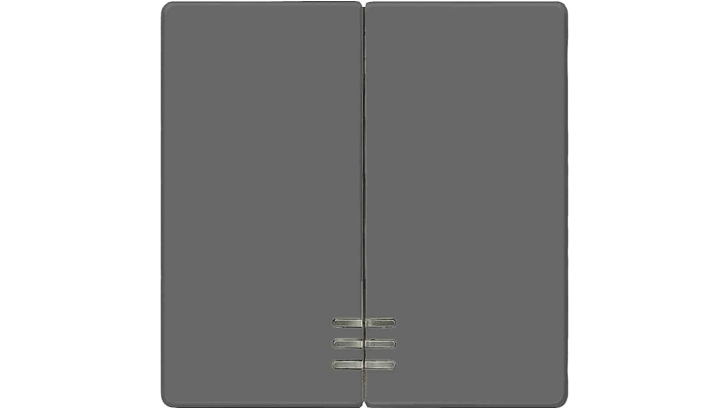 Interruttore a bilanciere Siemens 5TG6224 grigio, forma rettangolare, IP20, dimensioni 55mm x 55mm, materiale termoplastico.