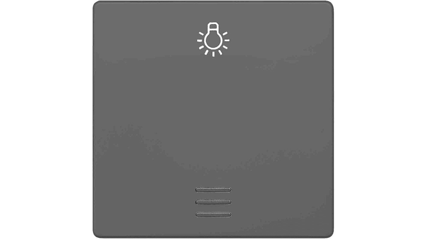 Interruttore a bilanciere Siemens 5TG6226 grigio, forma rettangolare, IP20, dimensioni 55mm x 55mm, materiale termoplastico.