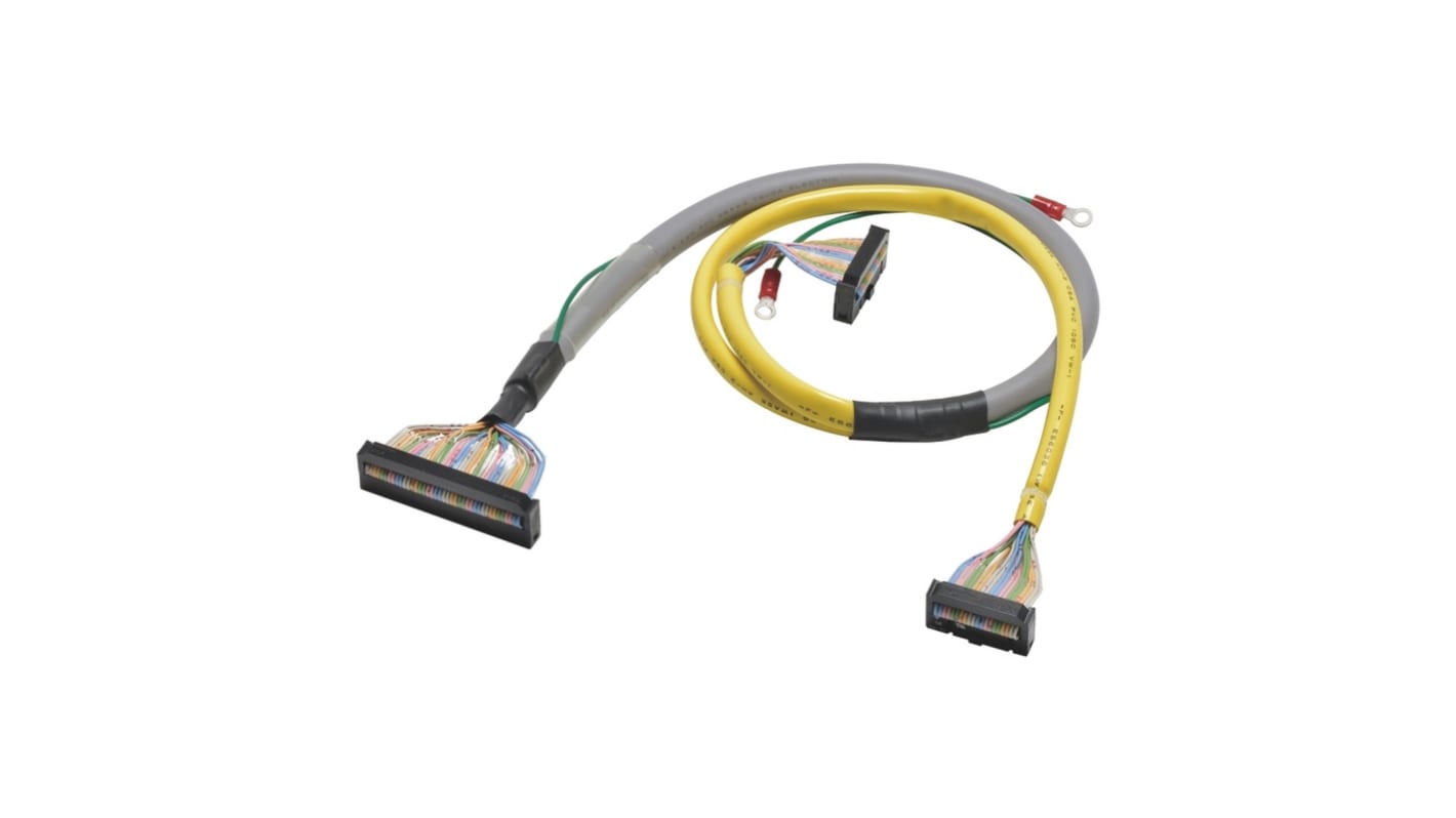 Cavo monofase Omron XW2Z-RO200-175-D1, lunghezza 2 m, tensione 250 V, corrente 1 A, per unità di conversione terminale.