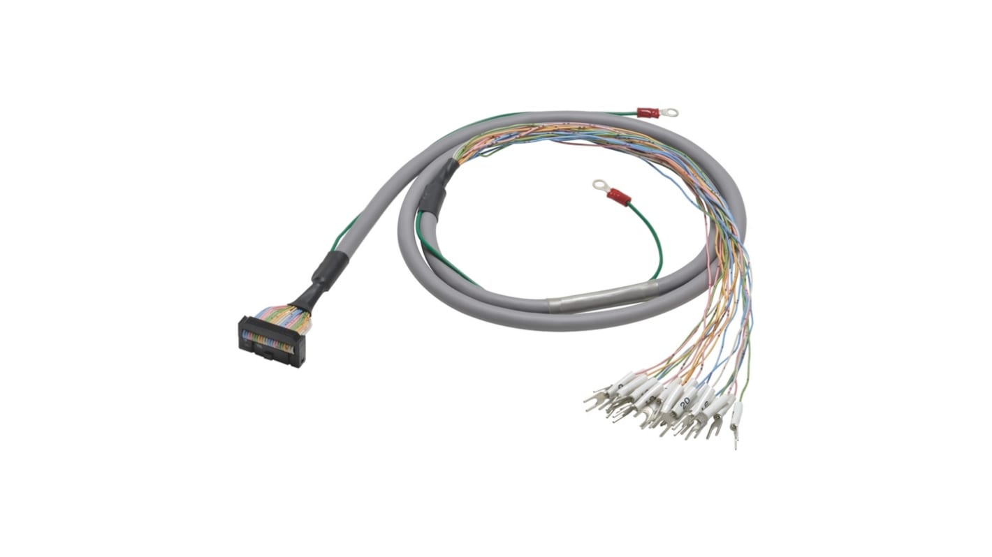 Cavo monofase Omron XW2Z-RY100C, lunghezza 1 m, per collegamento unità di conversione a unità I/O, tensione 250 V, corrente 1 A.