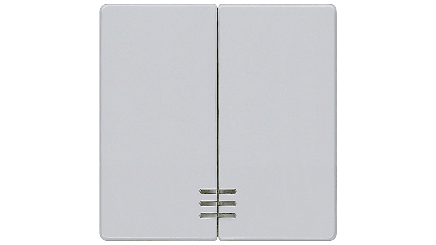 Interruttore a bilanciere Siemens 5TG6244, grigio, forma rettangolare, IP20, dimensioni 55mm x 55mm, materiale termoplastico.