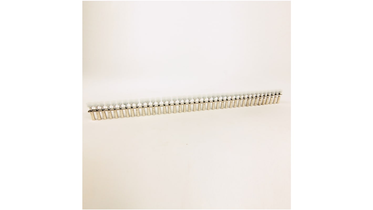 Ponticello centrale a vite Allen Bradley 1492-CJ8-2, isolato, 2 poli, grigio, dimensione 8mm, compatibile con 1492-W10.