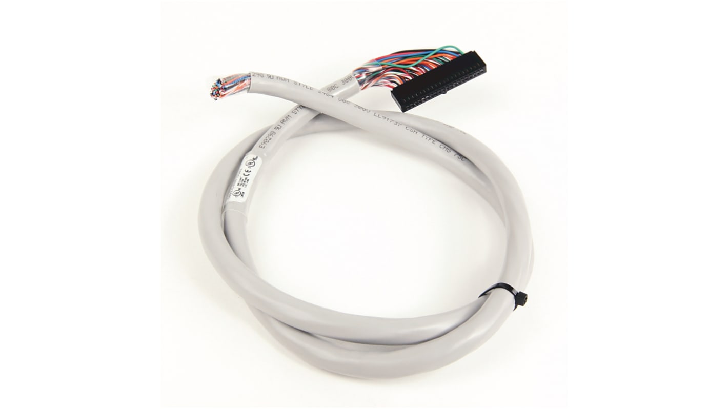 Cavo Rockwell Automation 1492-CAB010U62 per BOLLETTINO 1492, precablato e montabile su guida DIN standard.