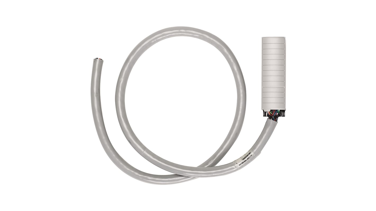 Cavo connettore Rockwell Automation 1492-CABLE200TBCH, lunghezza 20 metri, compatibile con SLC 500, ControlLogix e CompactLogix.