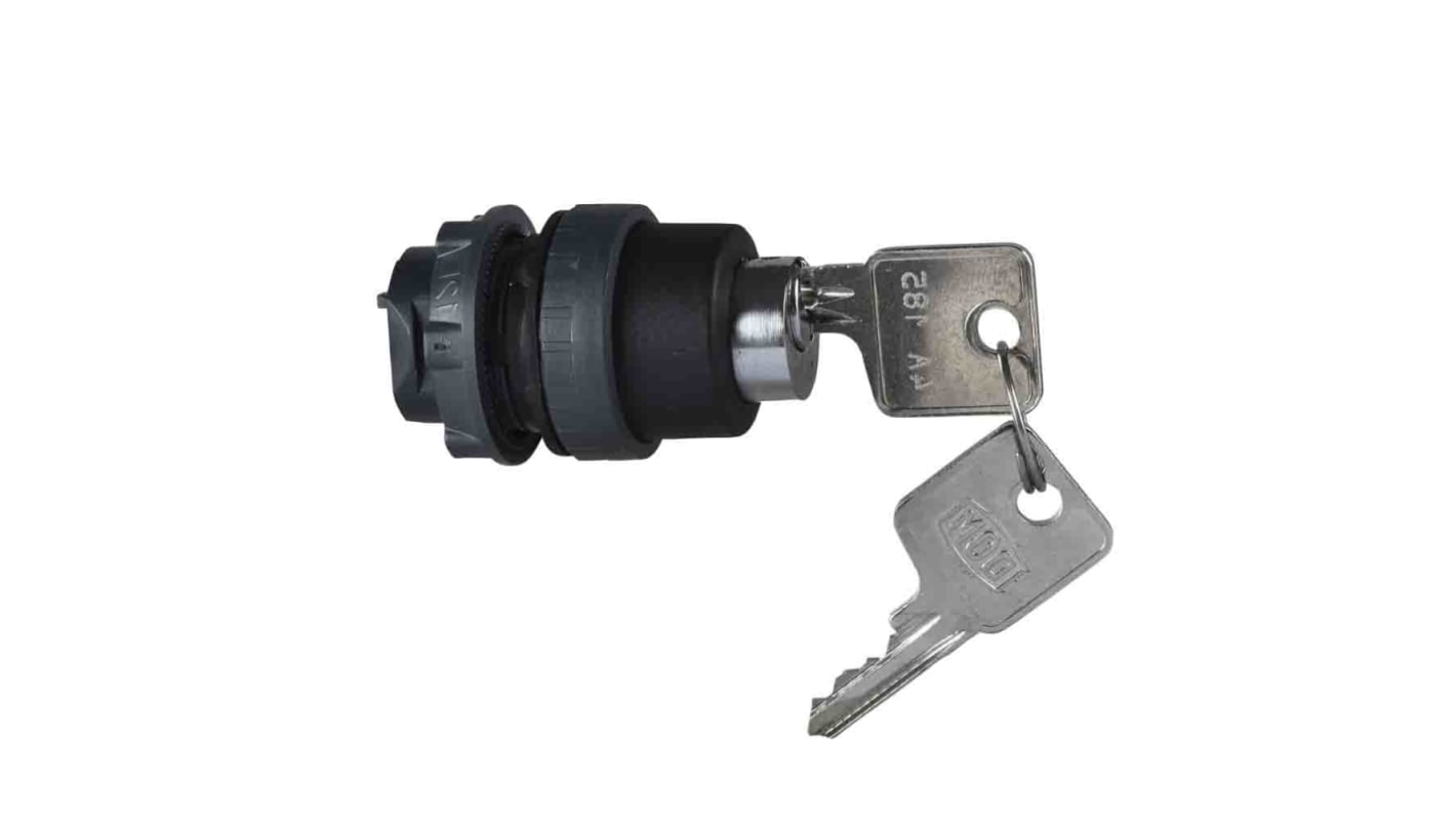 Testa selettore a chiave Schneider Electric ZB5AFDA, diametro foro 22mm, protezione IP66, azionamento a rotazione.