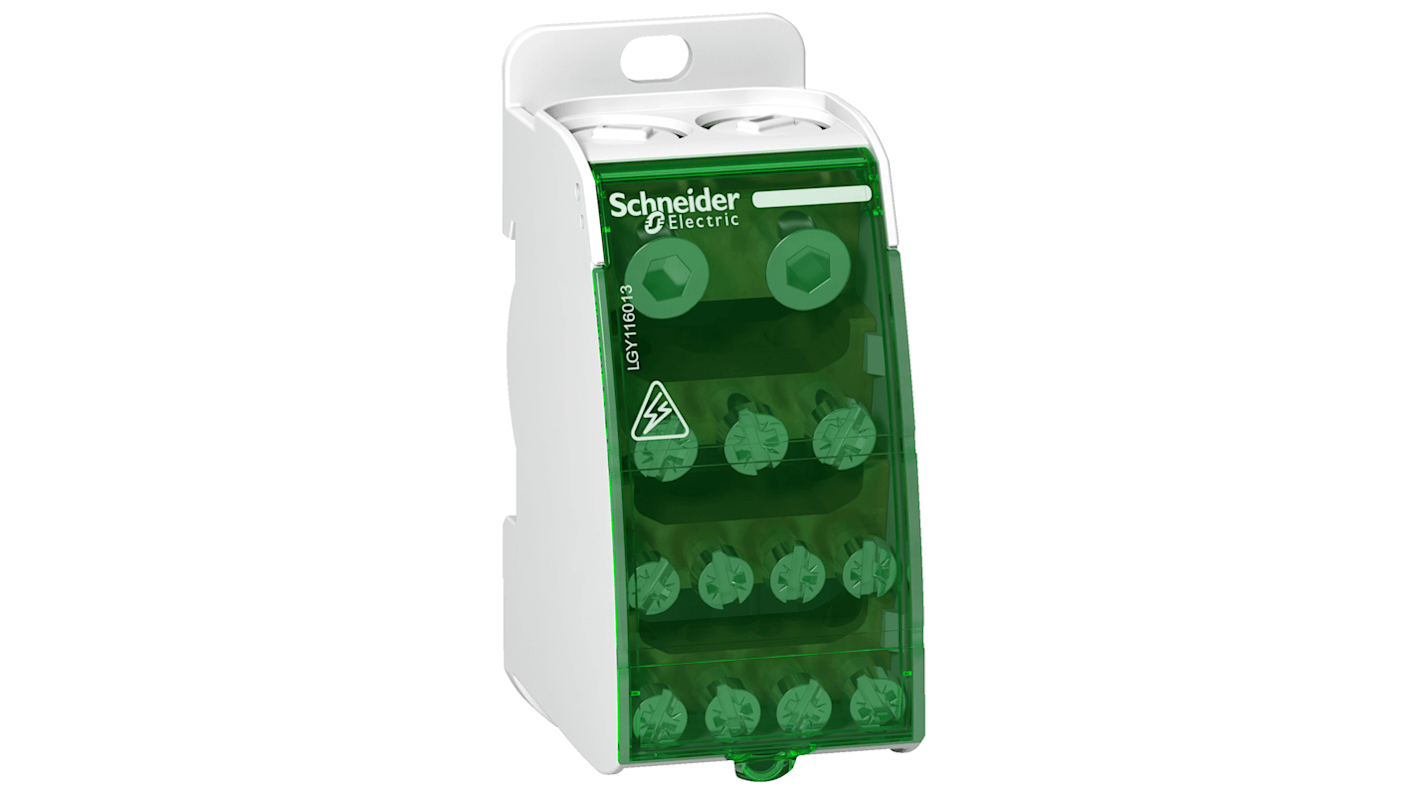 Blocco di distribuzione Schneider Electric LGY116013, 160A 230V con terminazione a vite per pannelli industriali e commerciali. Montaggio su guida DIN.