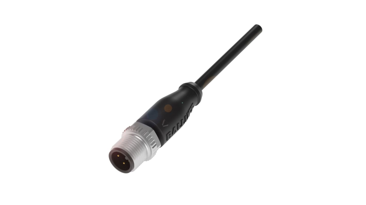 Cavo sensore attuatore BALLUFF BCC031N, 2 m, M12 maschio, 4 pin, guaina PUR, grado di protezione IP67/IP68/IP69K.