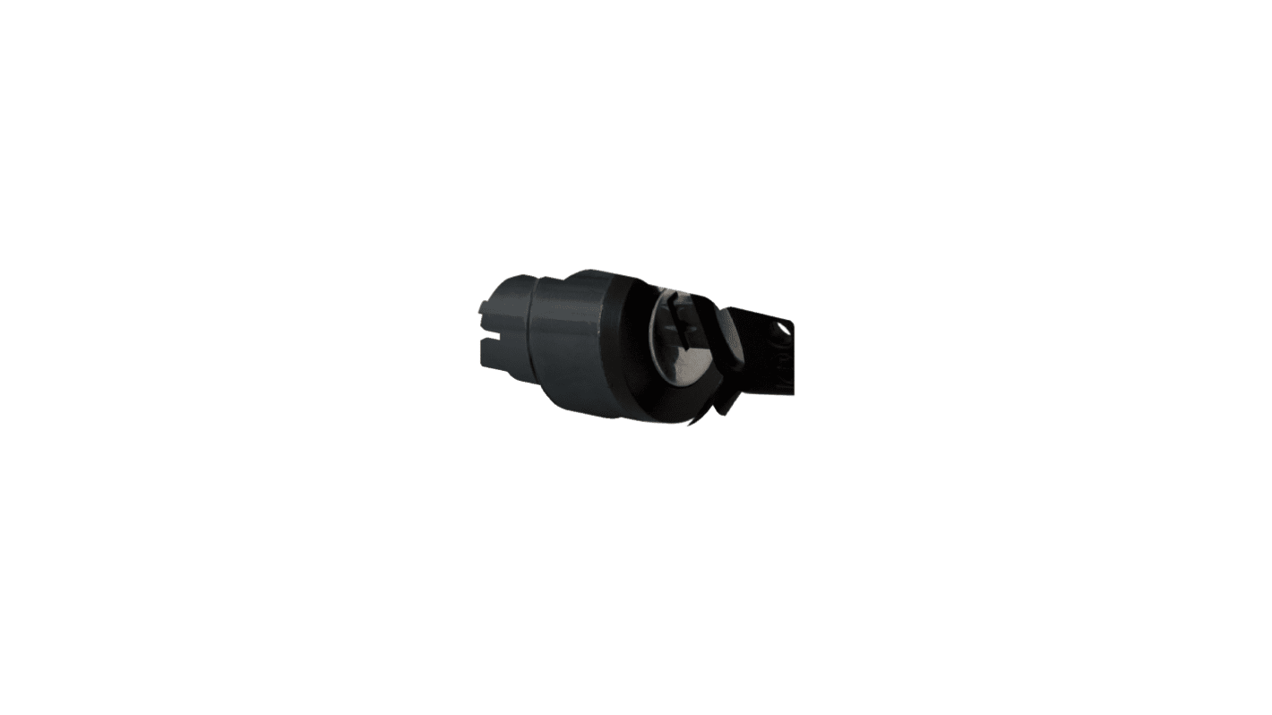 Selettore a chiave Schneider Electric ZB4BG47, 2 posizioni, diametro 22 mm, grado di protezione IP66/IP67/IP69.