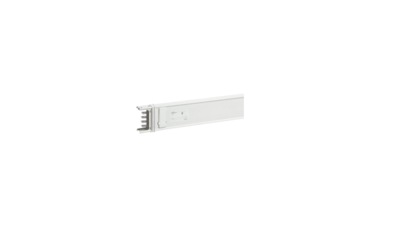 Canalina passacavi in alluminio Schneider Electric, 113 mm x 5 m, colore bianco, 10 uscite, conforme RoHS.