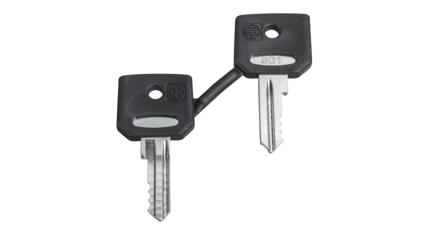 Chiave per interruttore a chiave Schneider Electric ZBGK, set di 2 chiavi, compatibile con pulsante di arresto di emergenza.